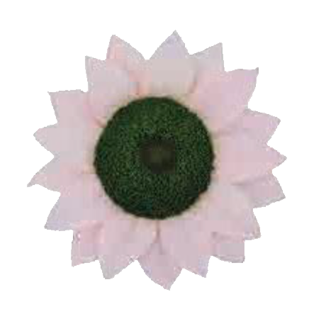 GERBERA